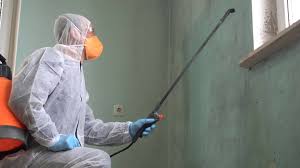 Trusted Sunriver, OR Mold Removal & Remediation Experts