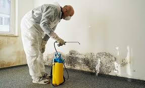 Best Forensic Mold Investigation  in Sunriver, OR