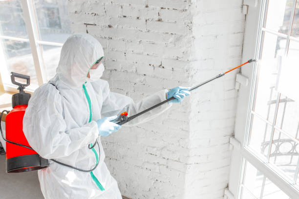 Best Environmental Consulting for Mold Prevention  in Sunriver, OR