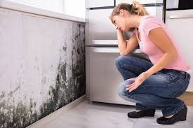 Best Dehumidification Services  in Sunriver, OR